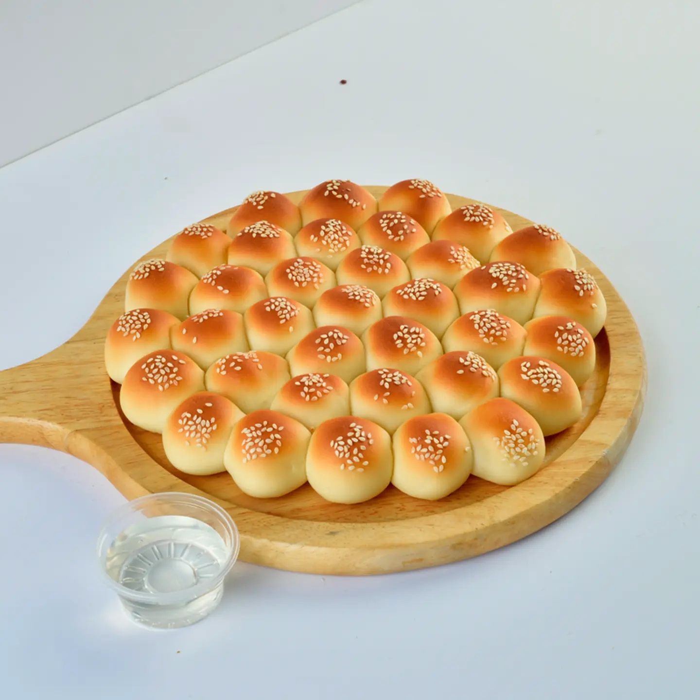 الخلية الأصلية1