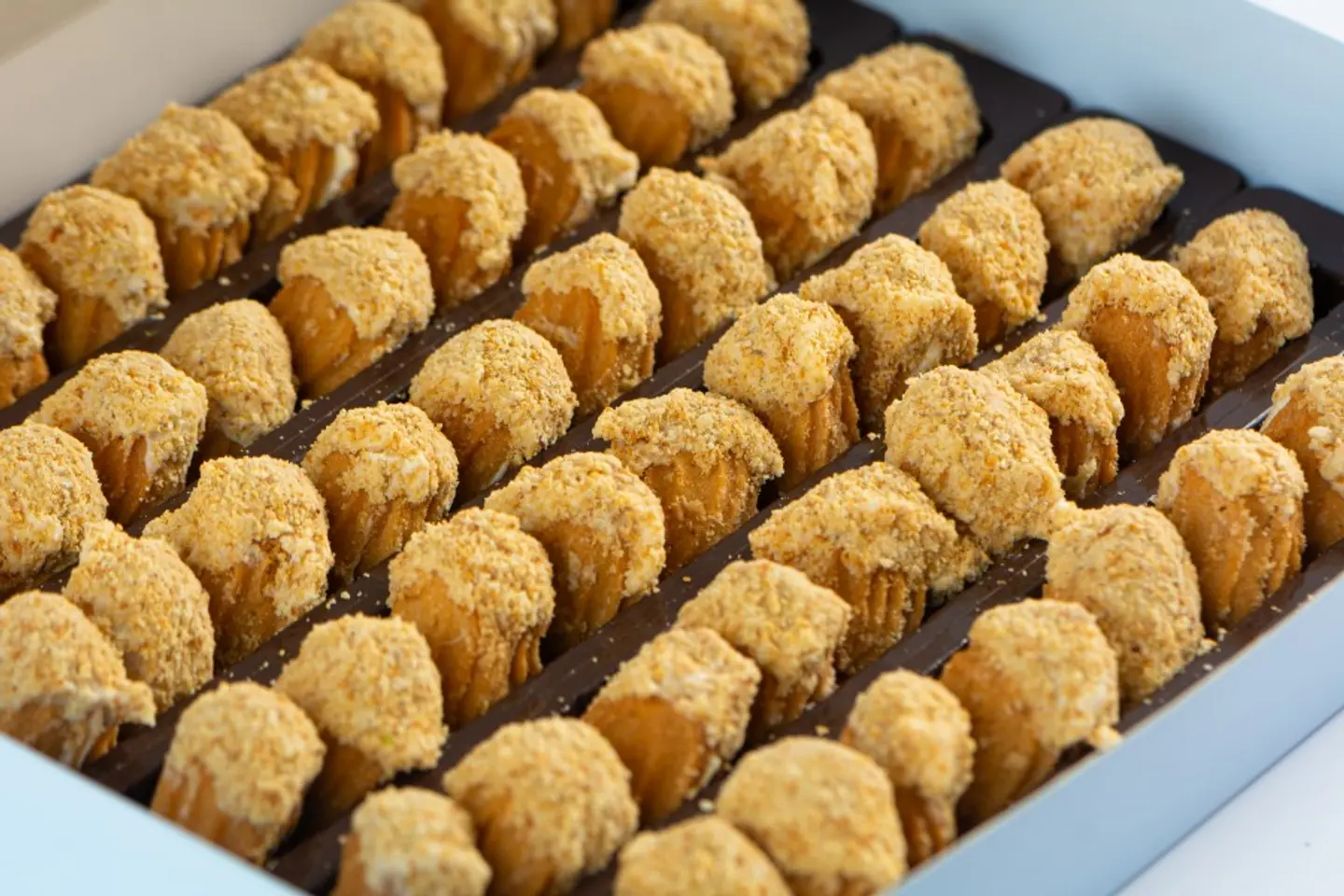 بيتي فور بالكاجو