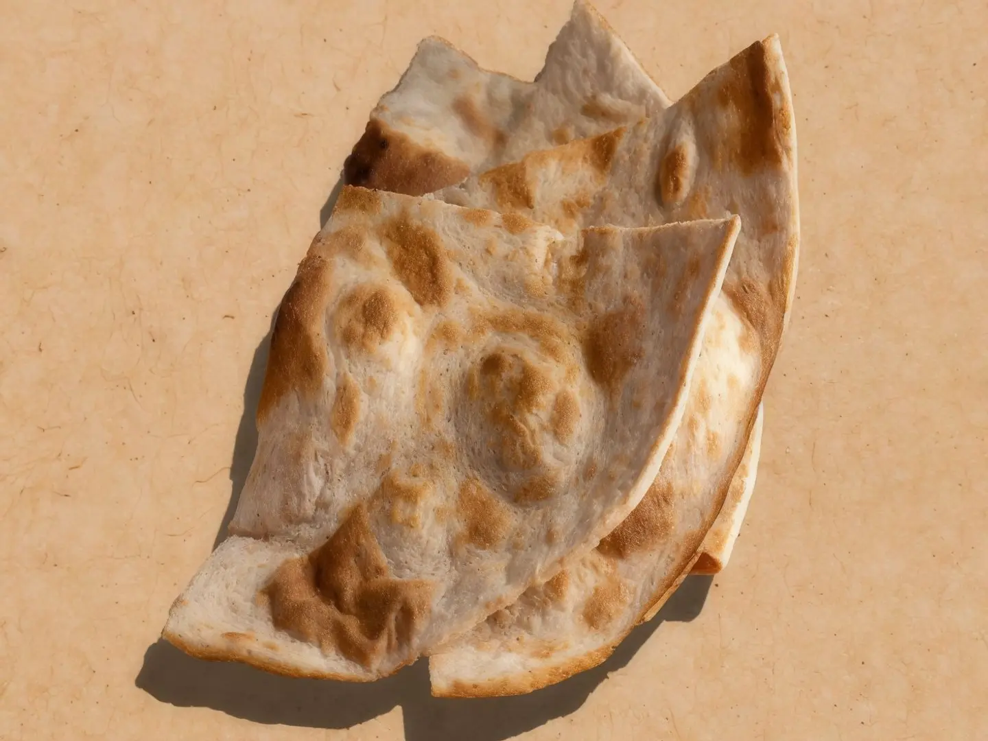 Roti Bread