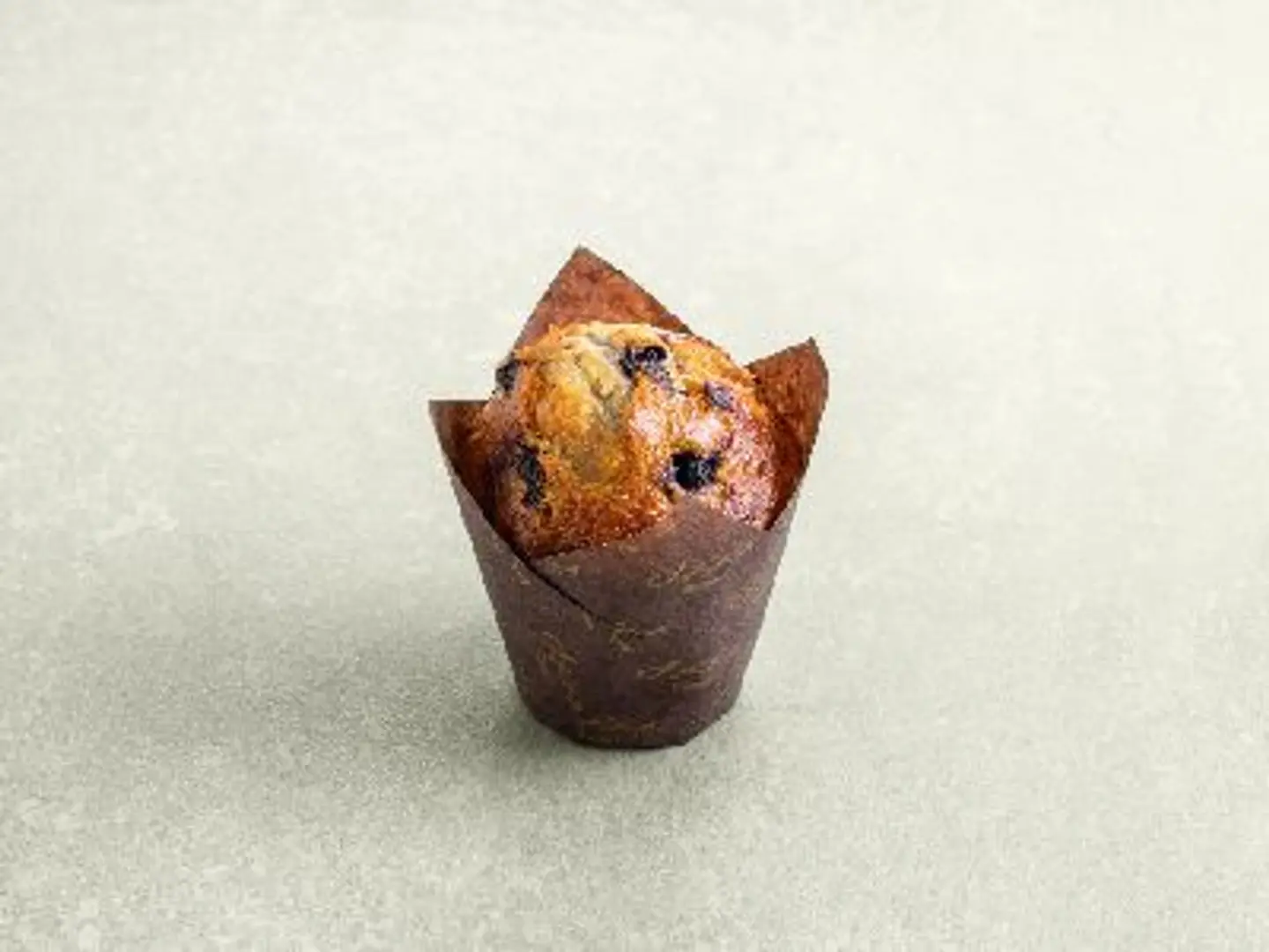 Blueberry Muffin