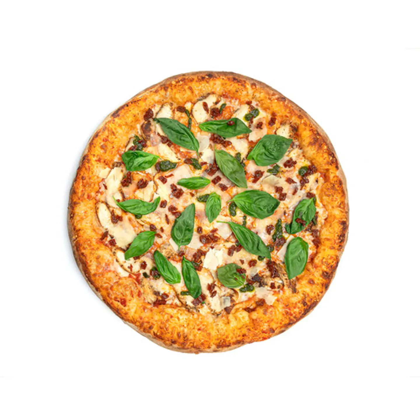 بيستو تشيكن حجم عادي