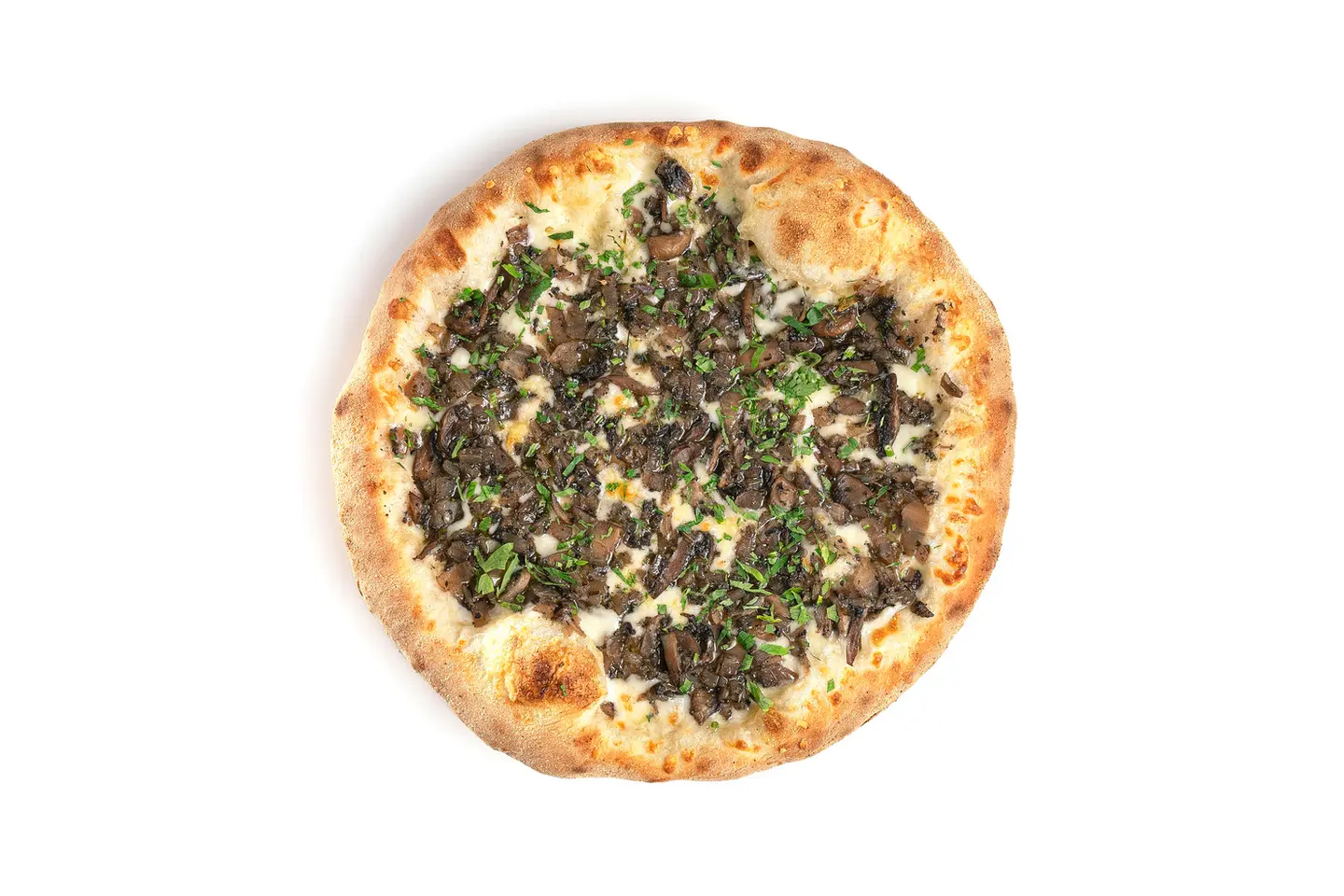 بيتزا ترافيل مع الفطر كاملة سجنتشر