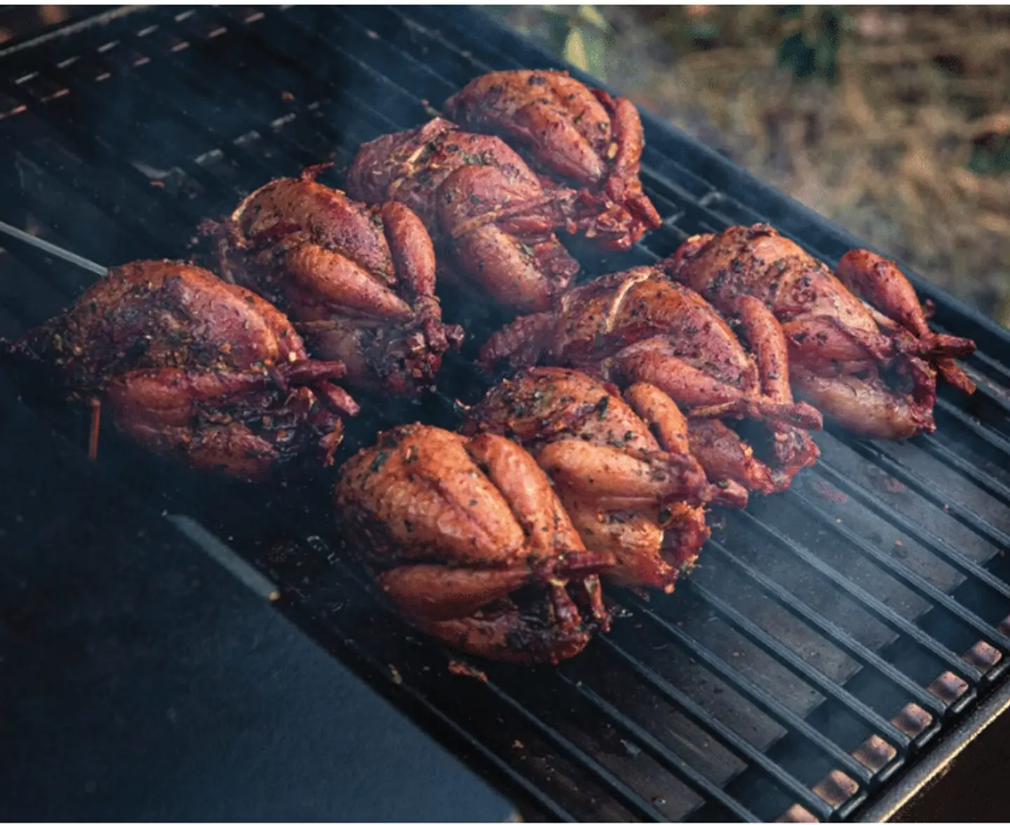 Grilled Quail