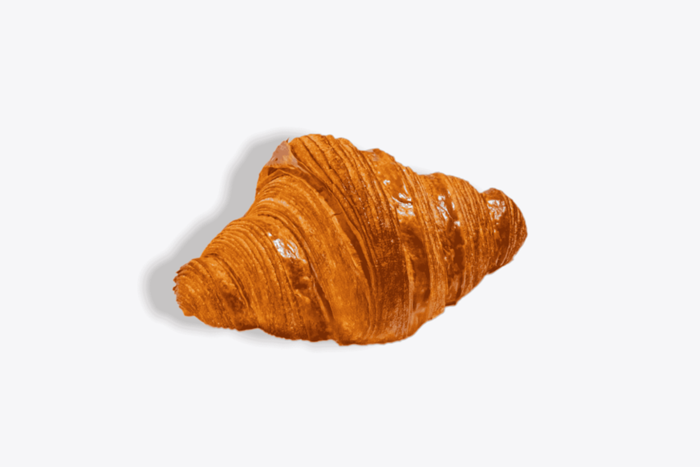 Plain Croissant