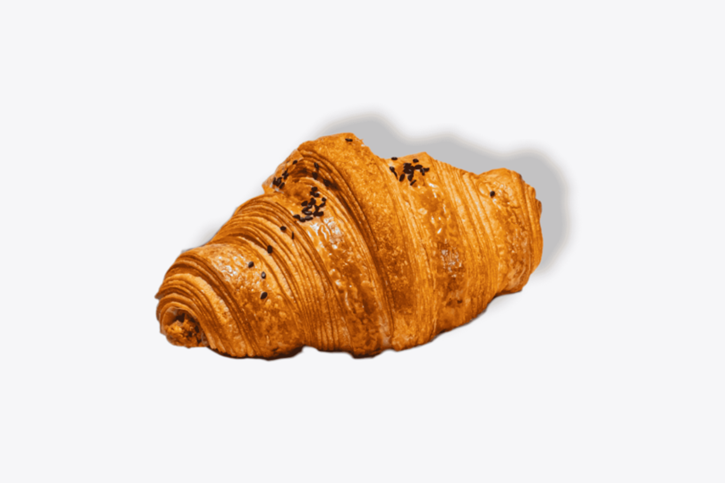 Cheese Croissant