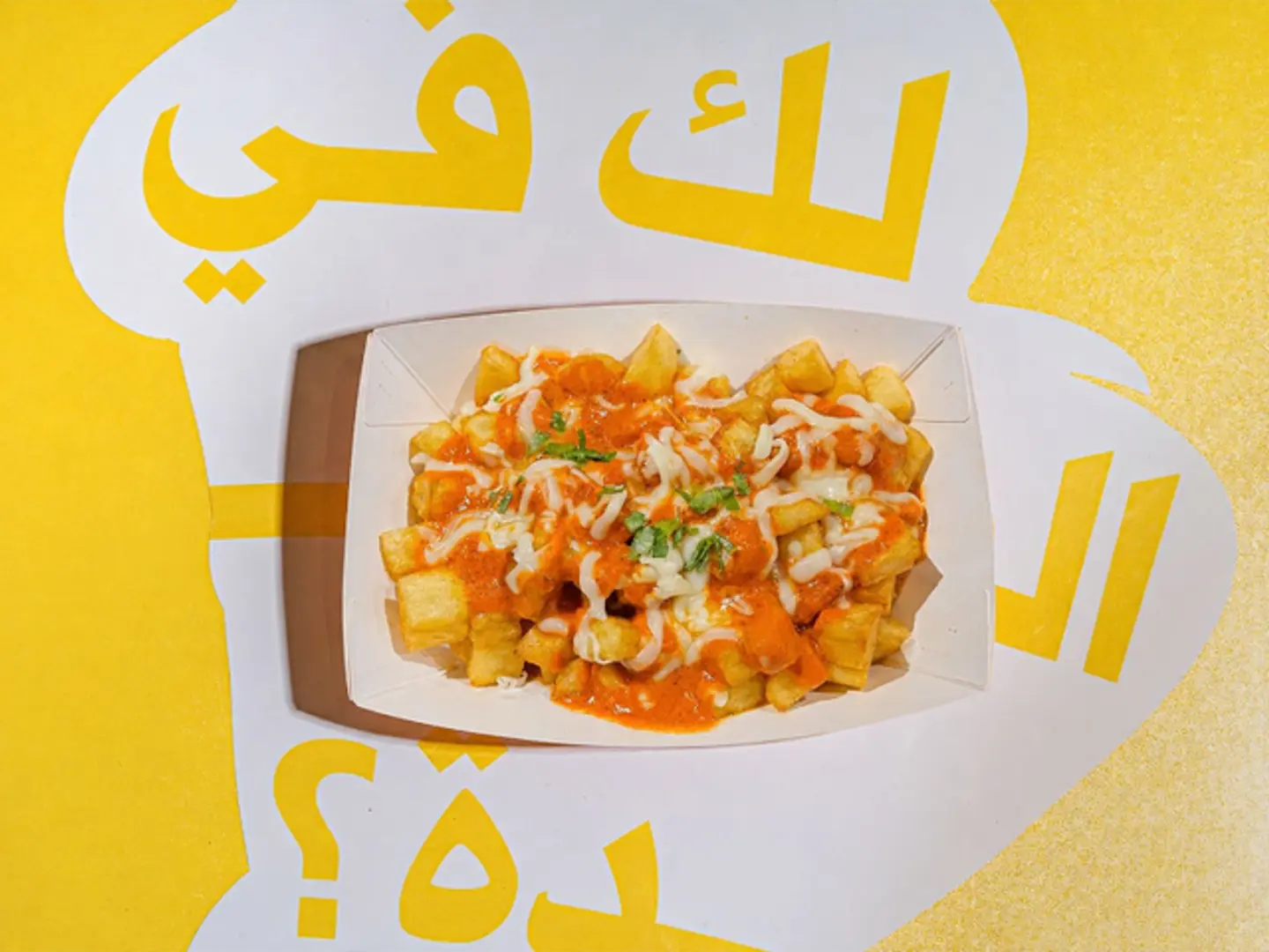 Masala Fries
