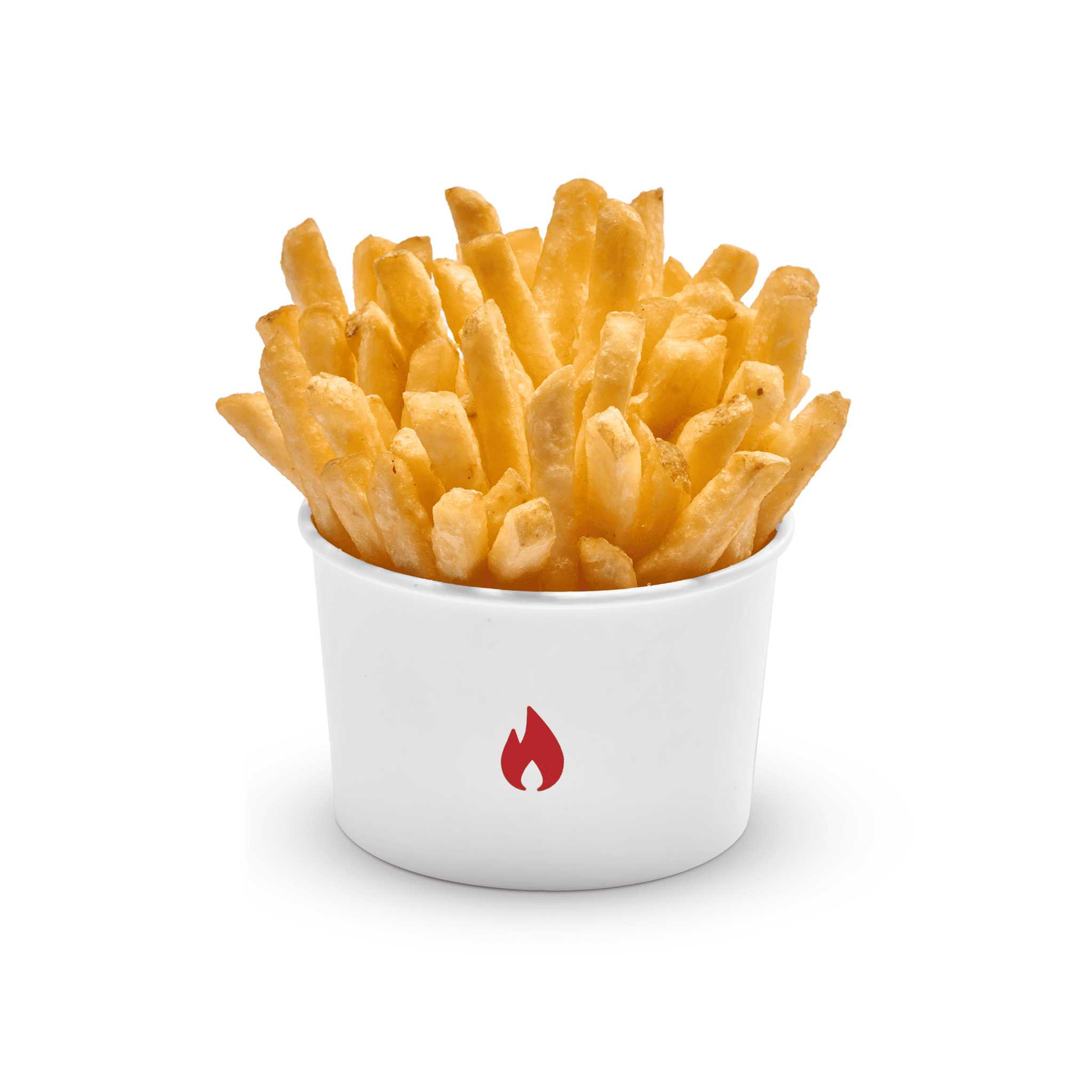 Salted Fries