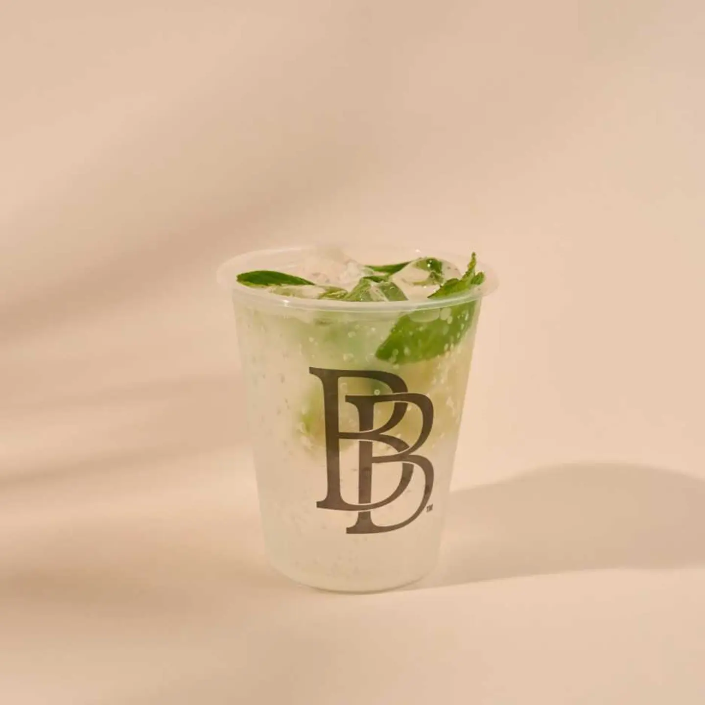 Lime Mint Breeze Mojito