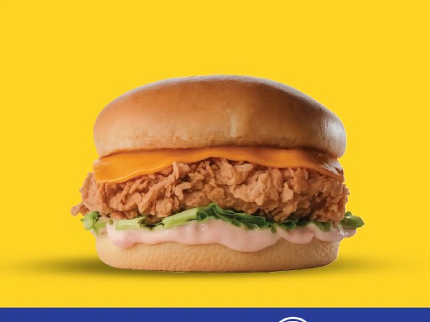 Crispy Chicken Burger