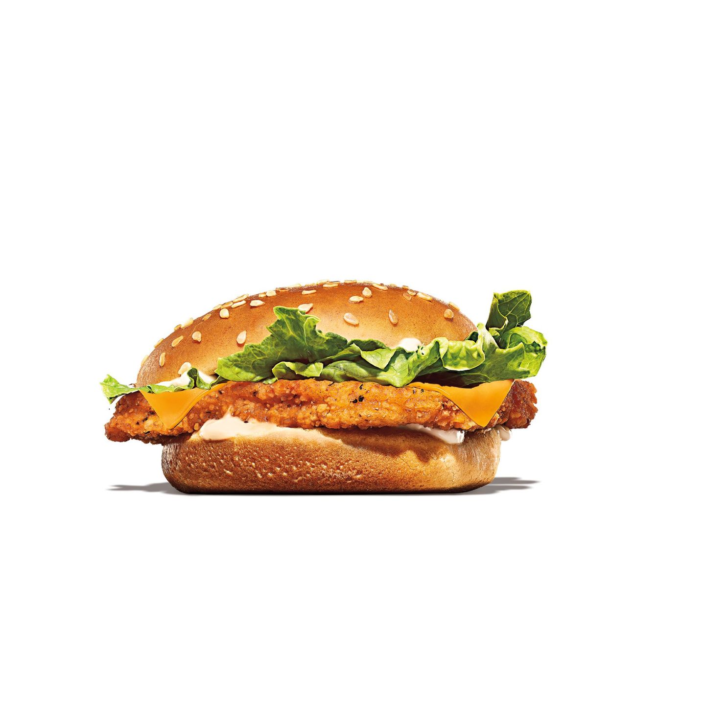 Chicken Burger With Cheese