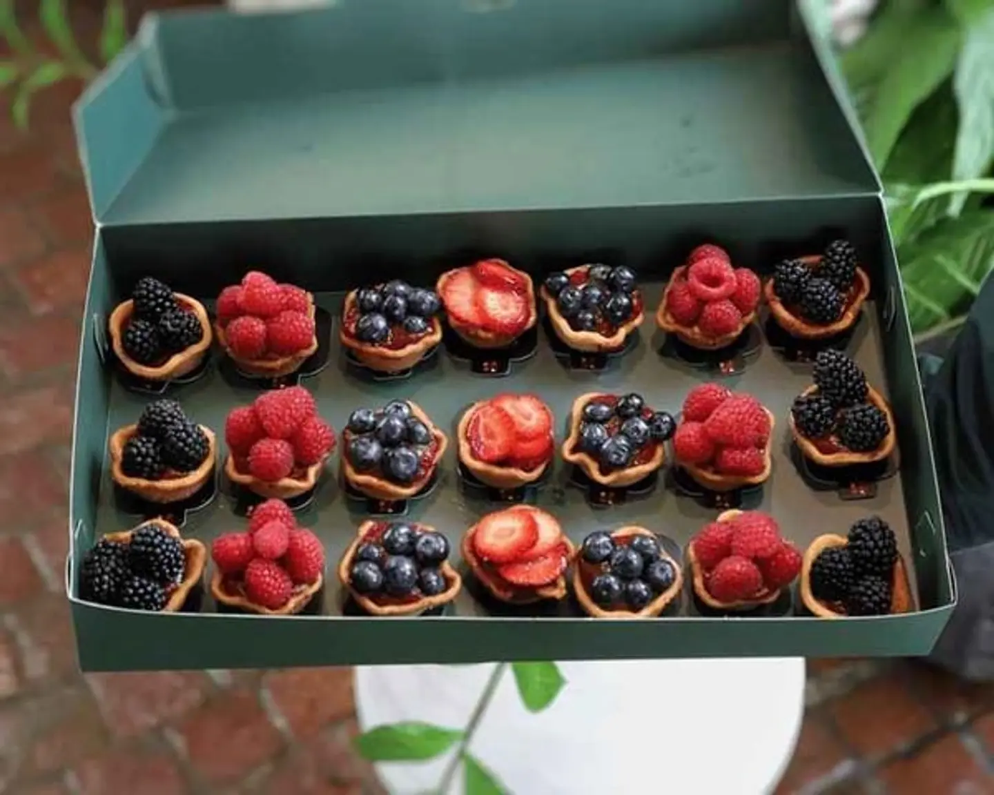 Box Mini Tart