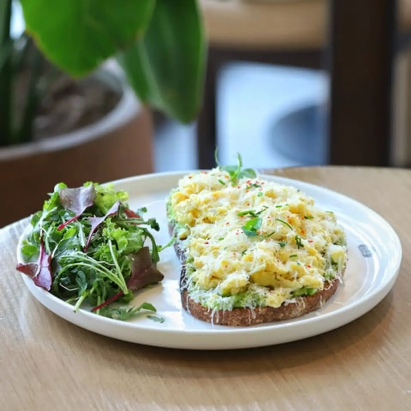 توست الأفوكادو والبيض المخفوق