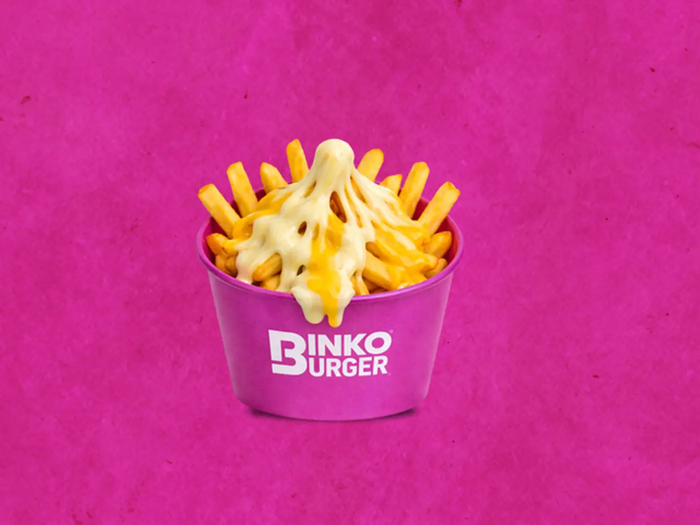 Cheese Fries