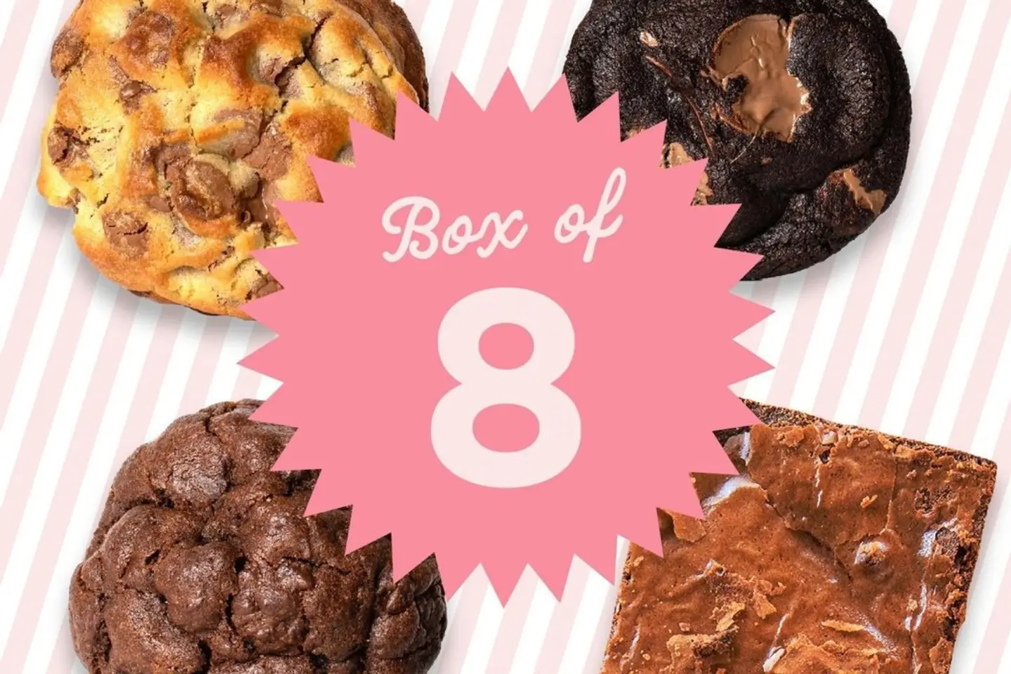 Bundle Of 8