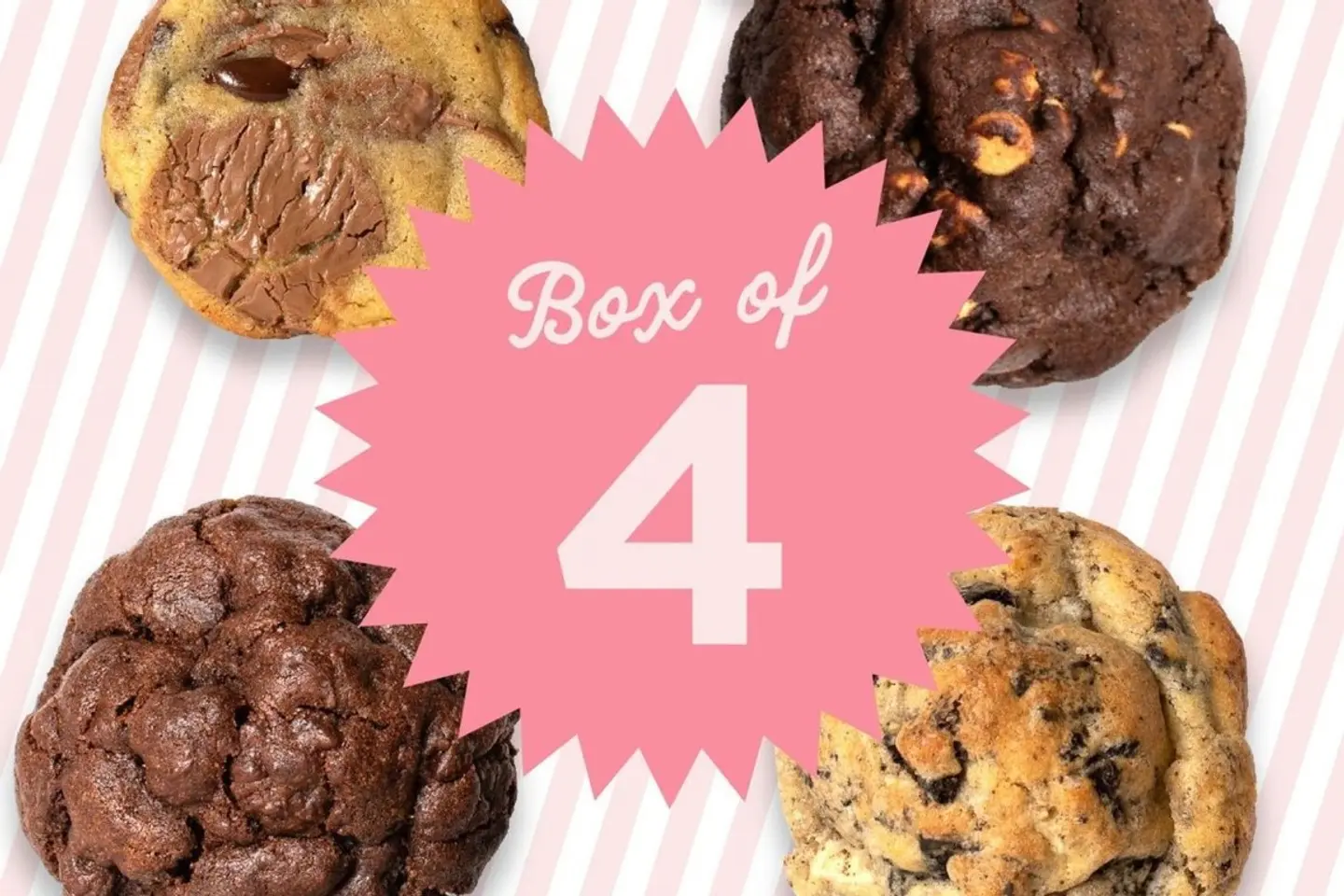 Bundle Of 4