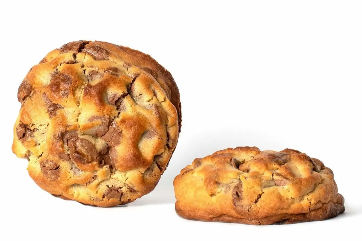 The Fat One Cookie 2.0