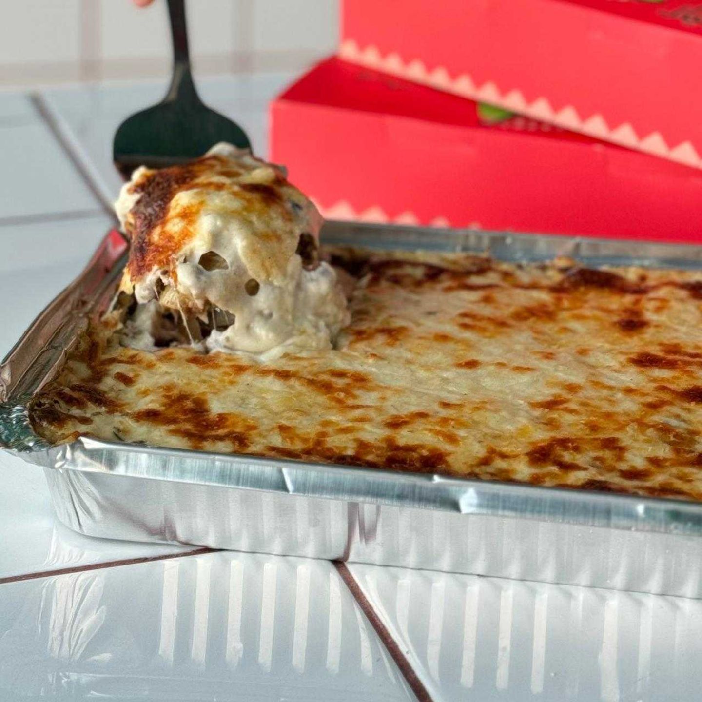 بشميلا الحجم الكبير