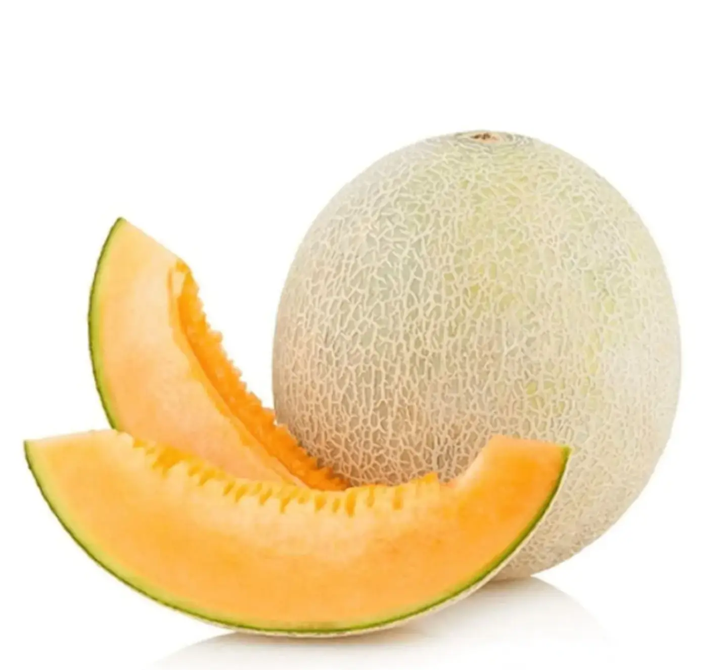 Cantalamus