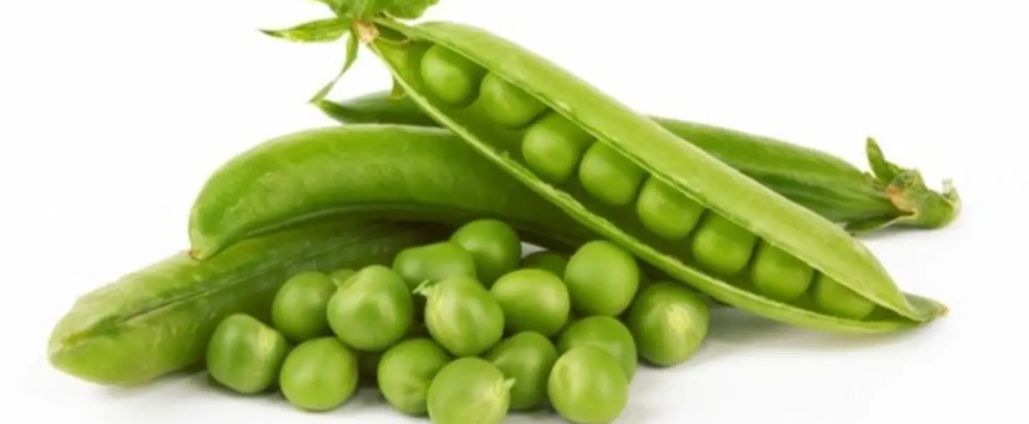 500 Grams Of Peas
