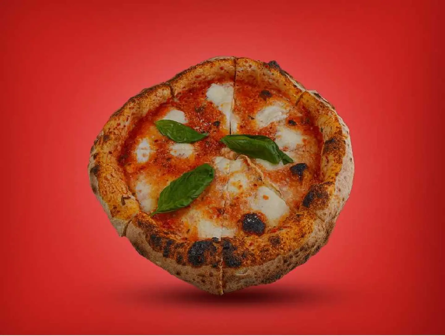 بيتزا بافلو