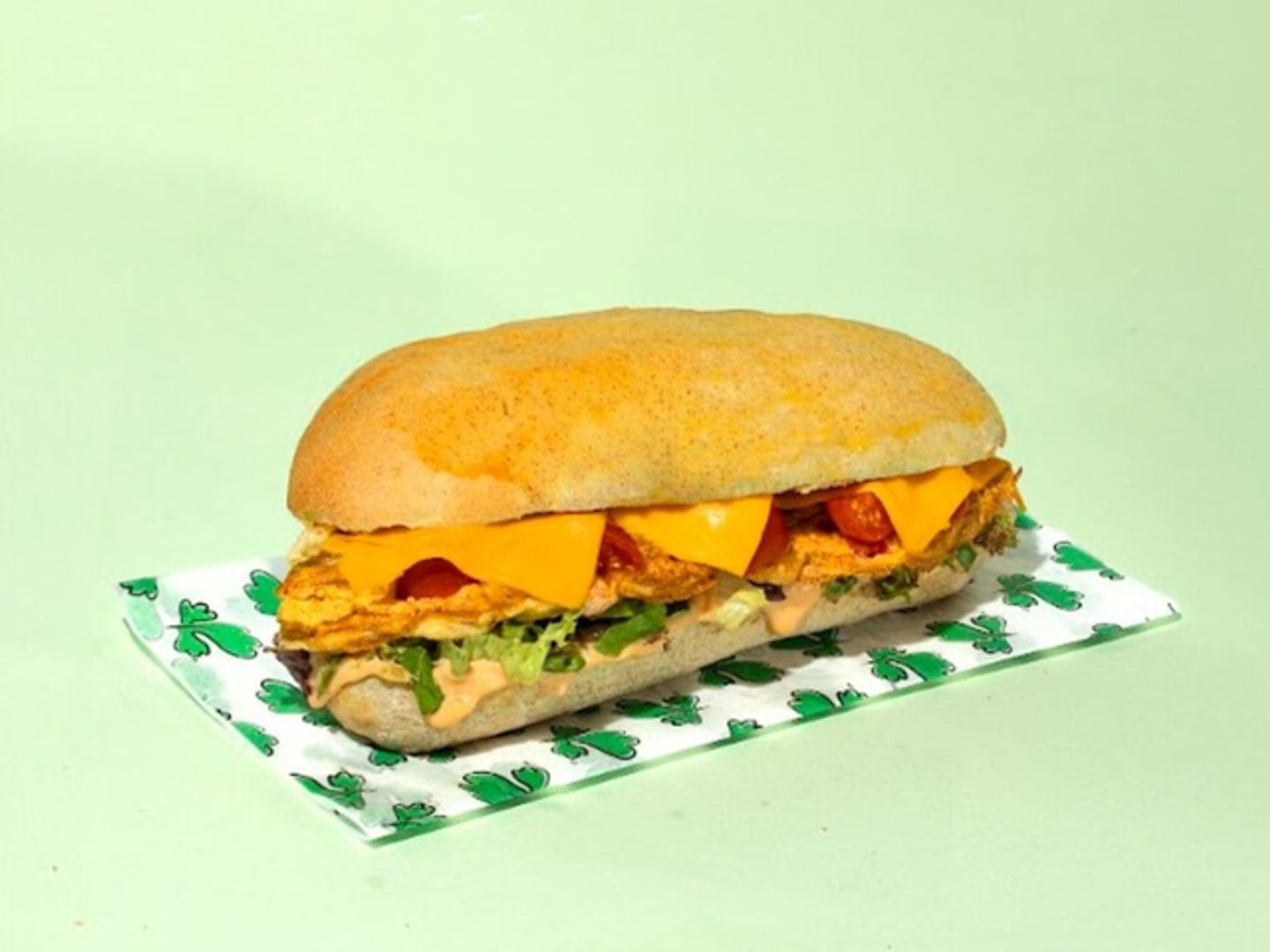 Vegetarian Omelette Sandwich