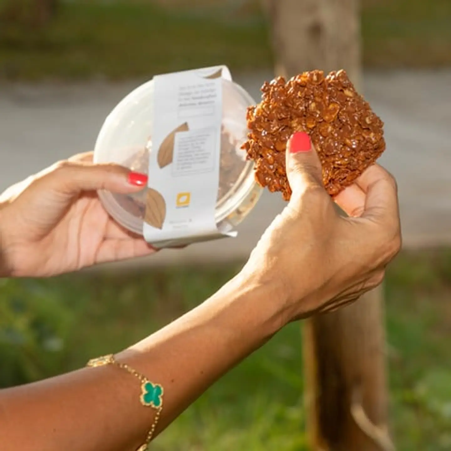 لوح الكورن فليكس