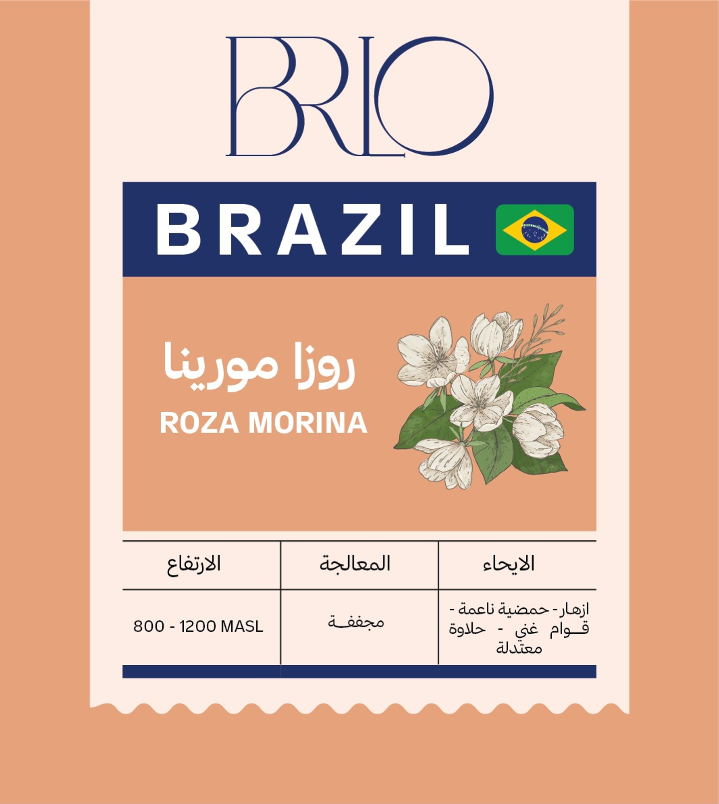 برازيل روزا مورينا 250 جرام