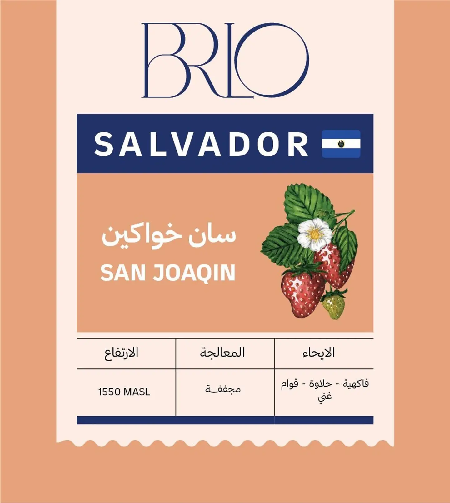 سلفادور سان خواكين 250 جرام