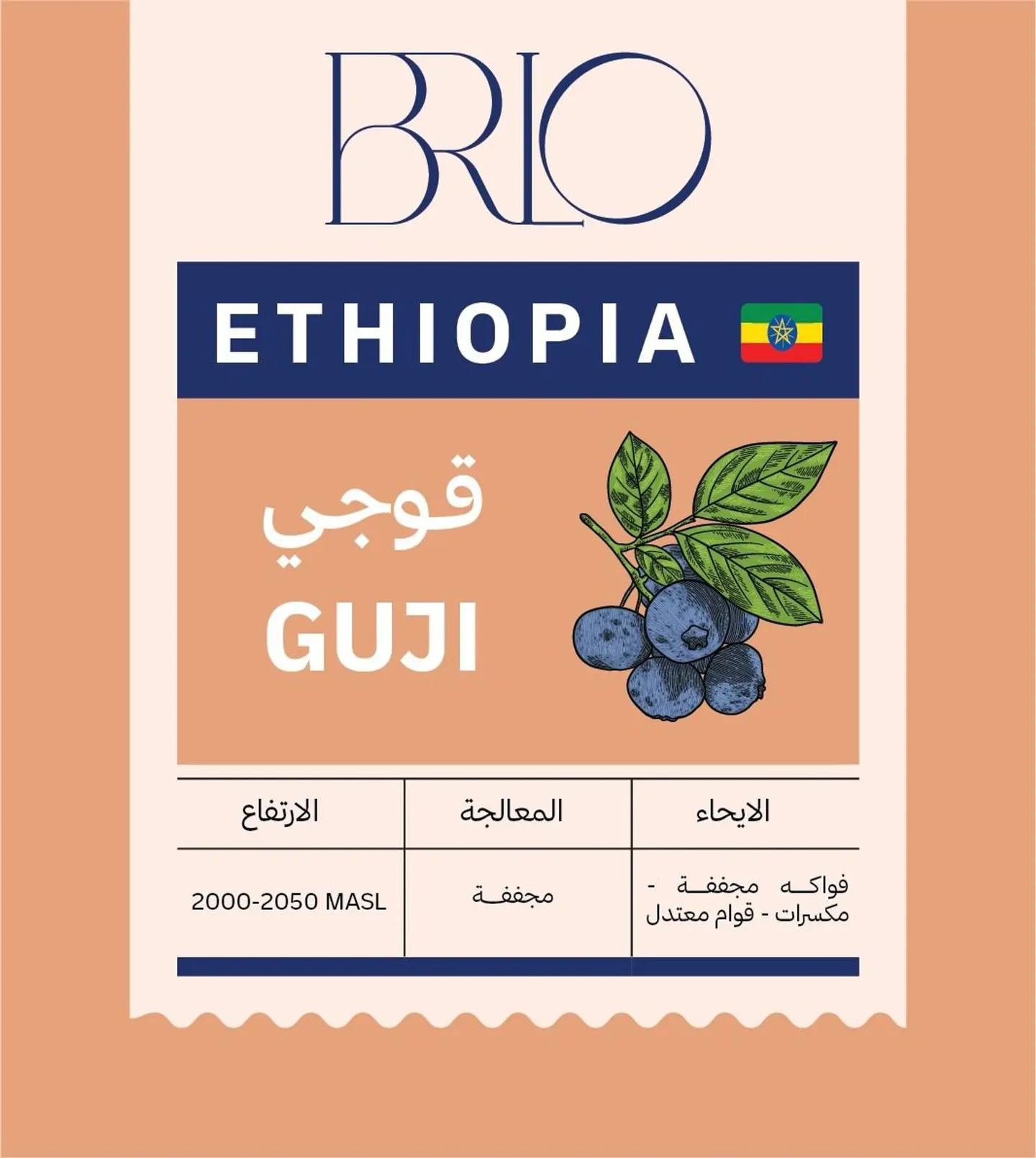 Ethiopia Guji 250g