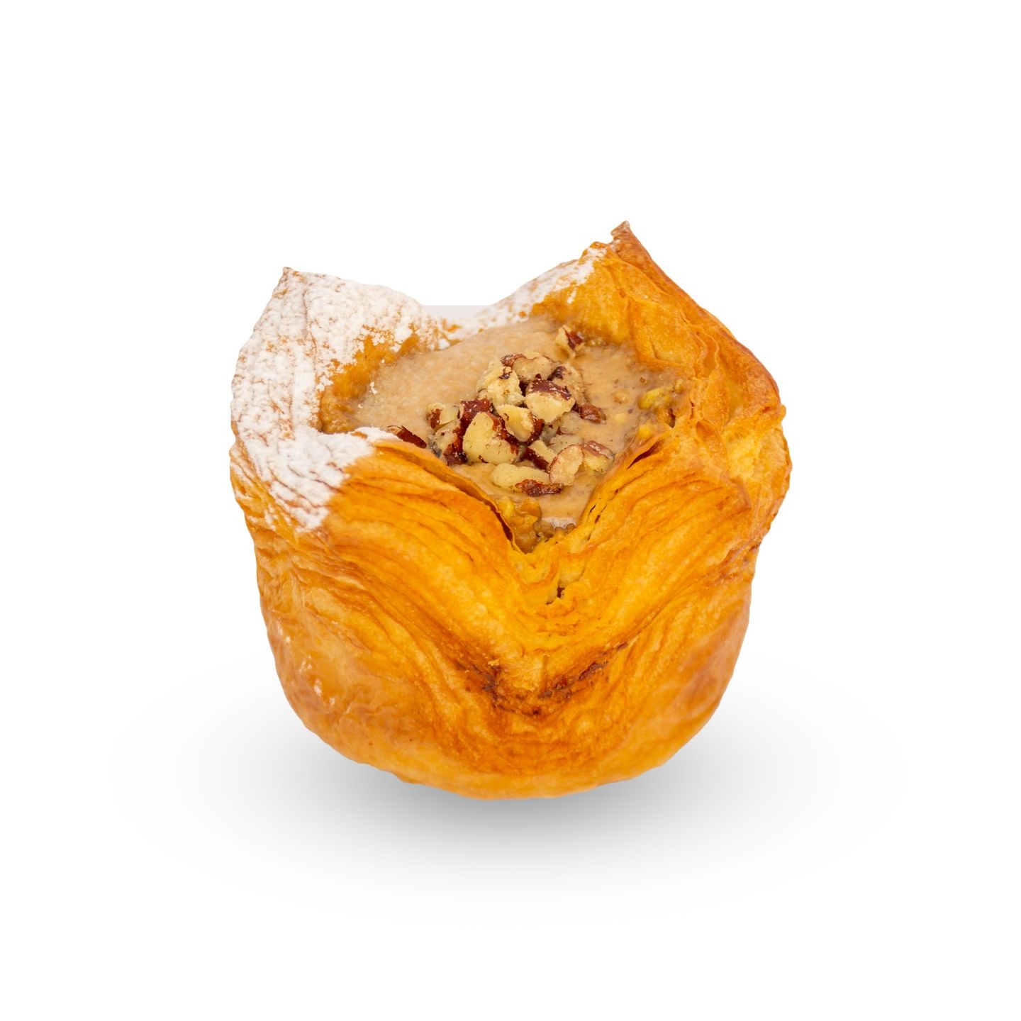 دانش بيكان