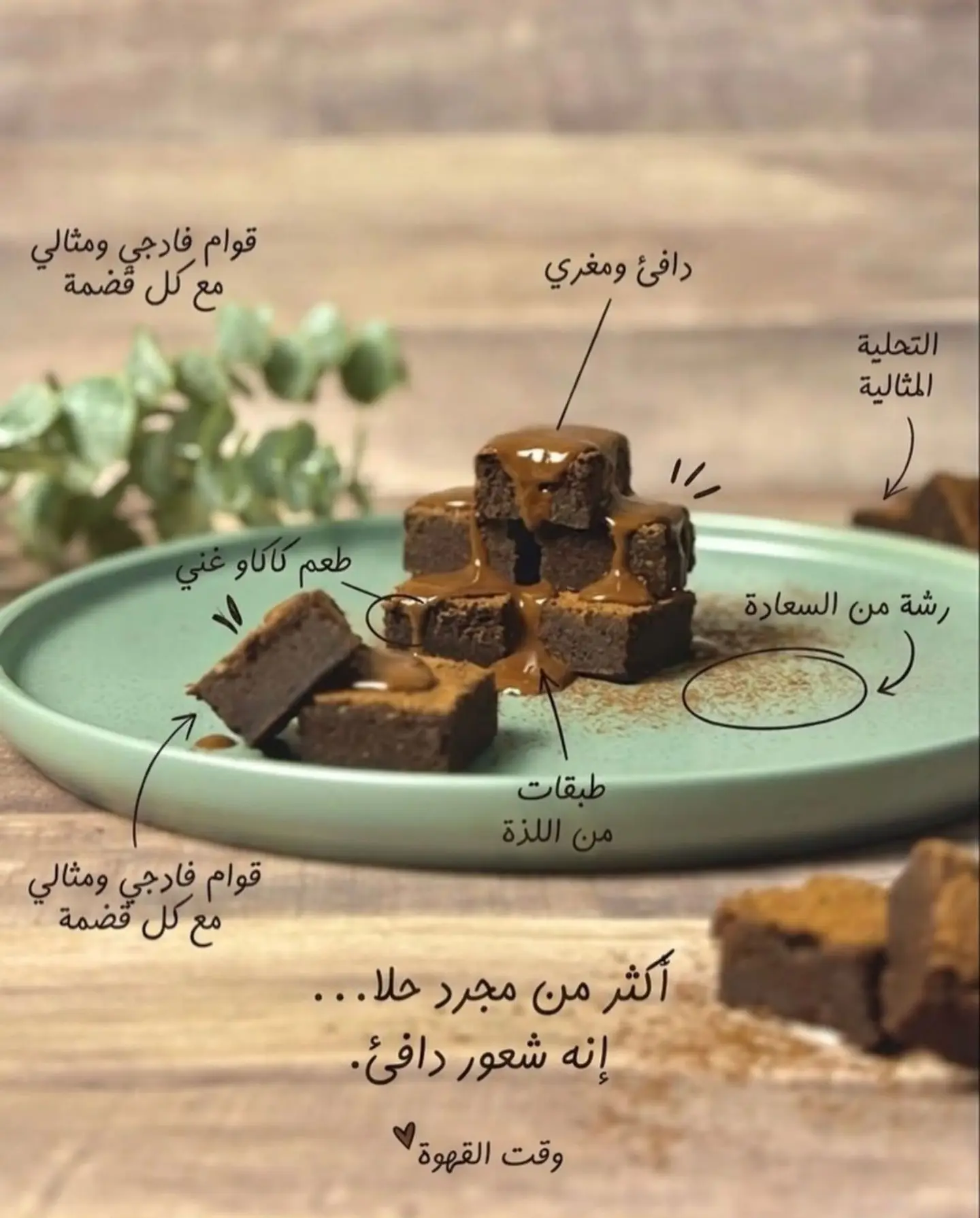 Mini Salted Brownies Box