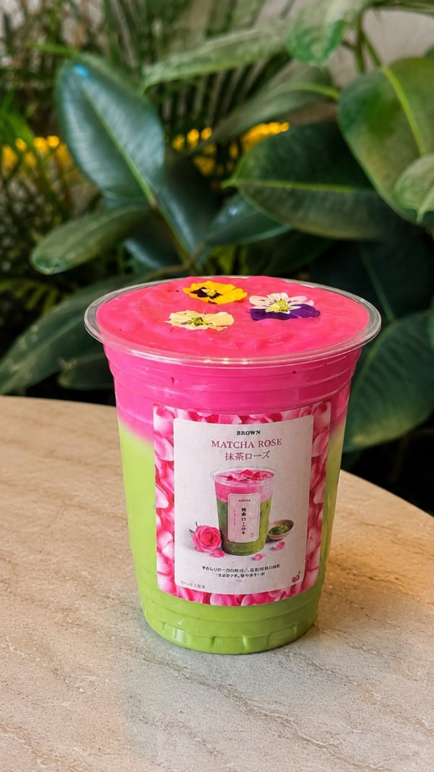 Matcha Rose