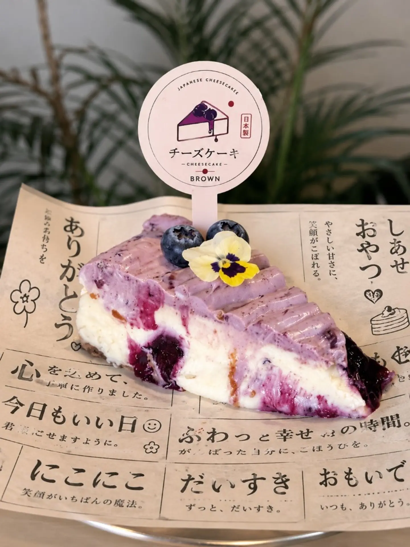 Japanese Cheese