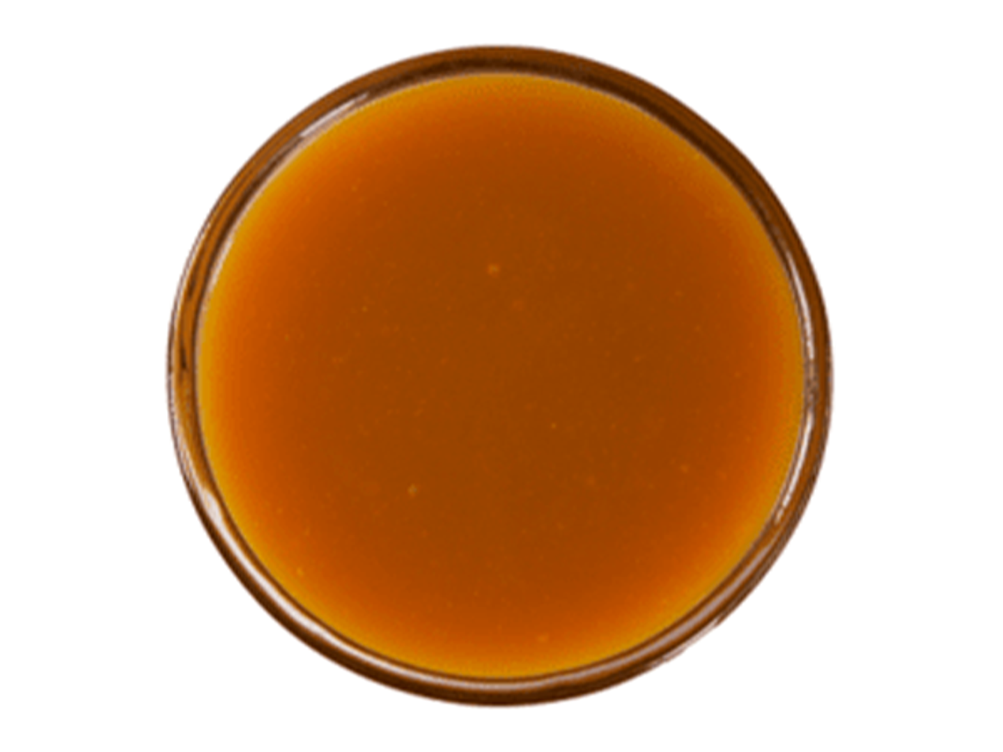 Hot Butterschotch Large Cup