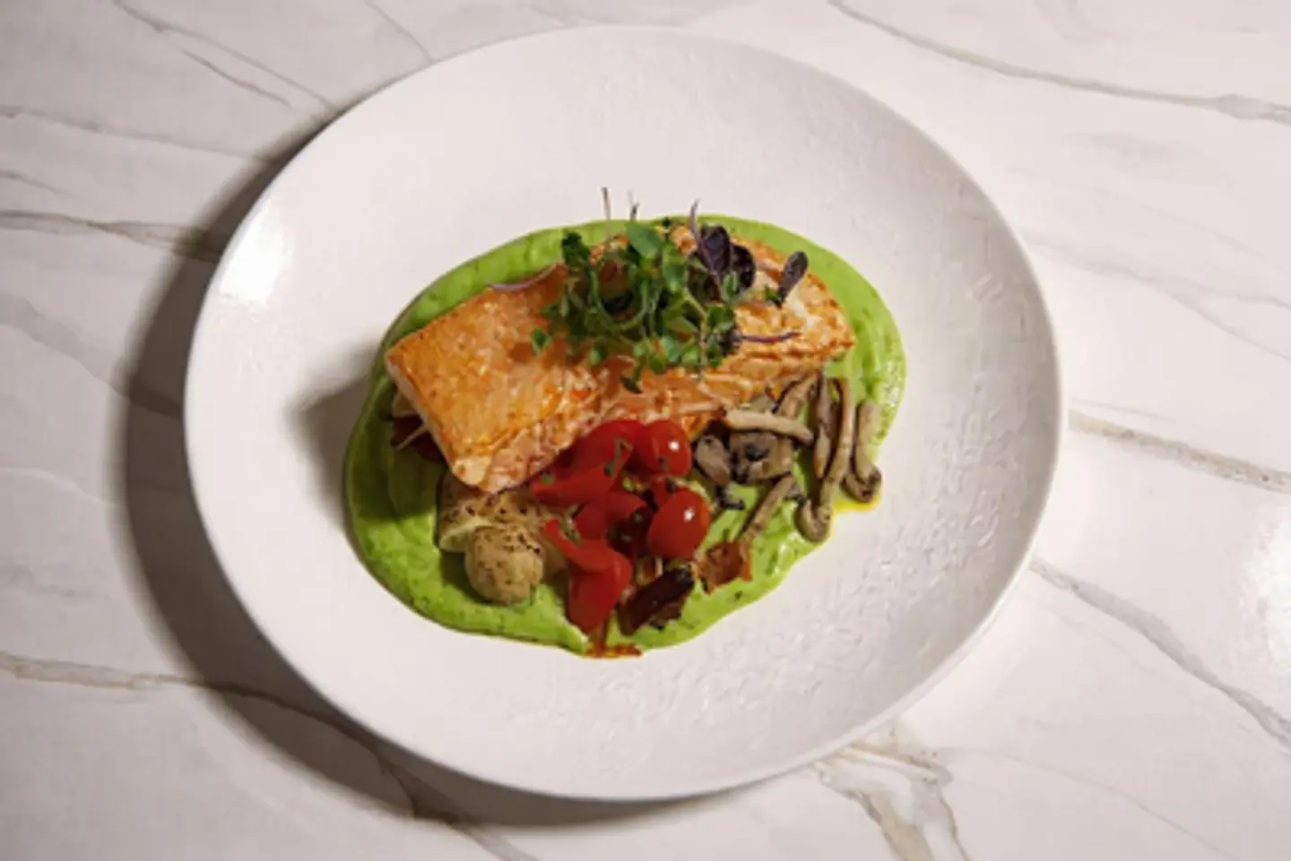 Atlantic Salmon