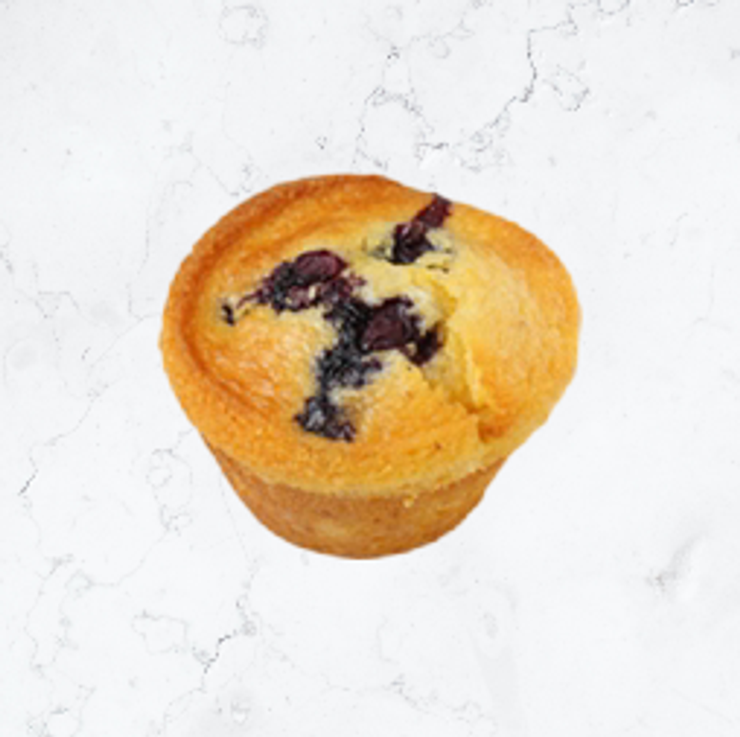 Blueberry Muffin