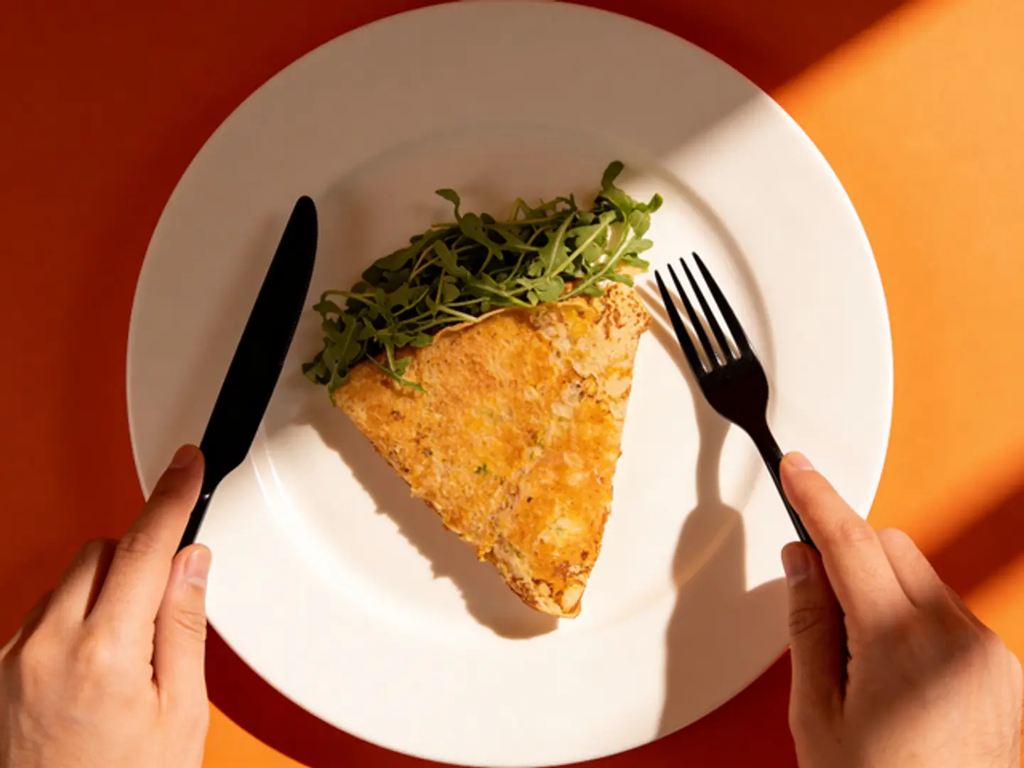 Ultimate Turkey And Cheese