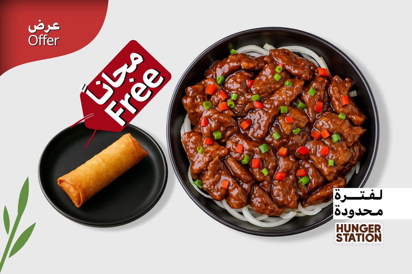 Take Beef Teppanyaki And Get One Spring Roll Free