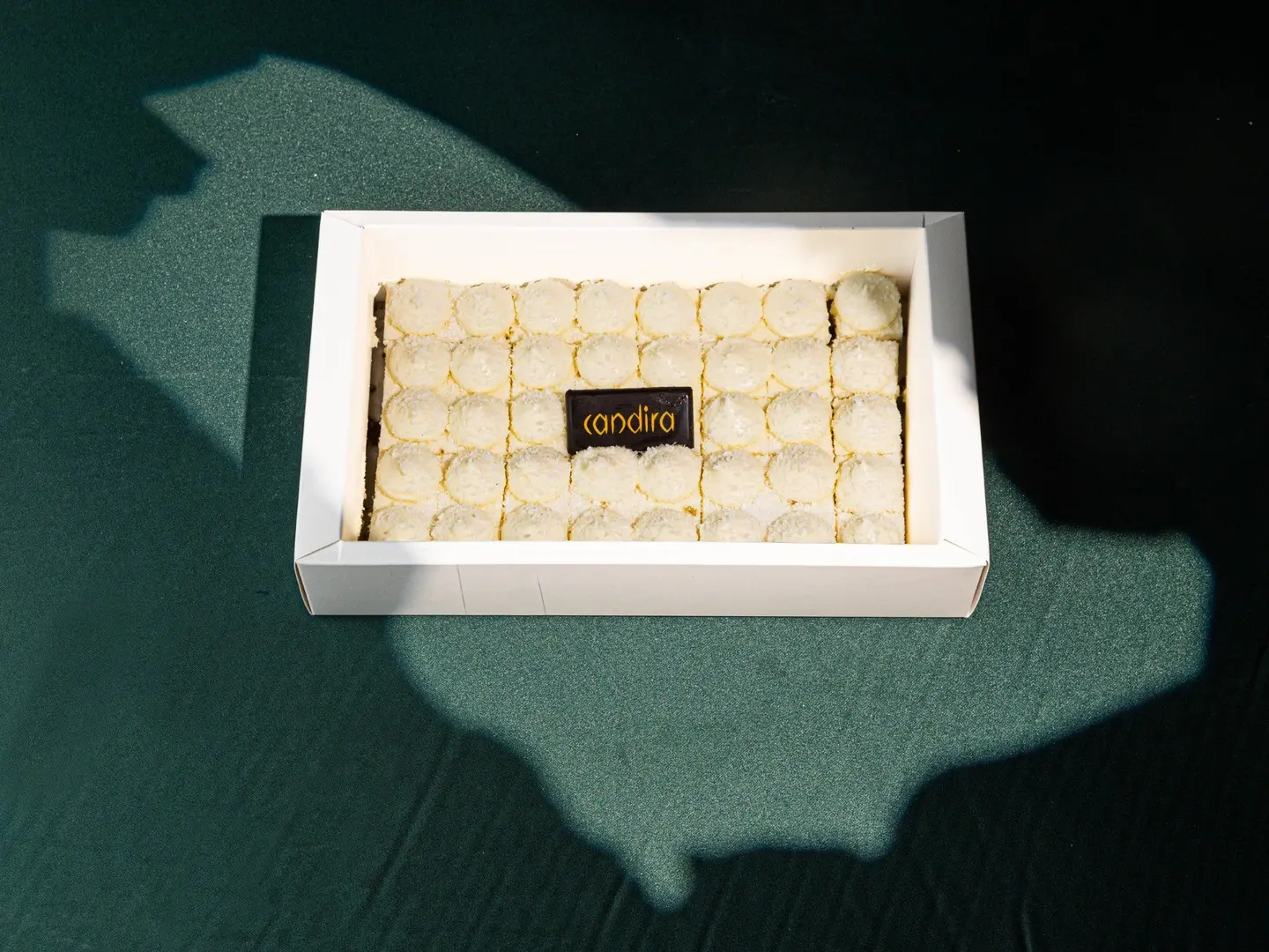 Coconut Bites