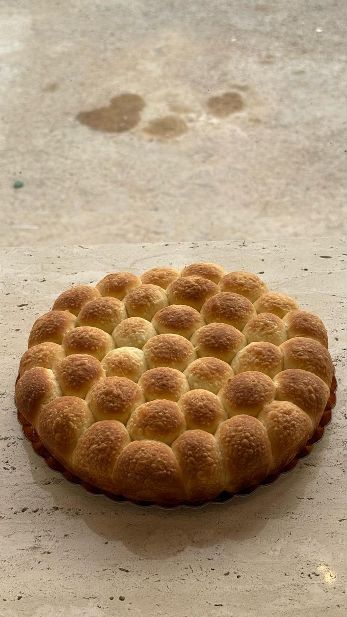 خلية سادة