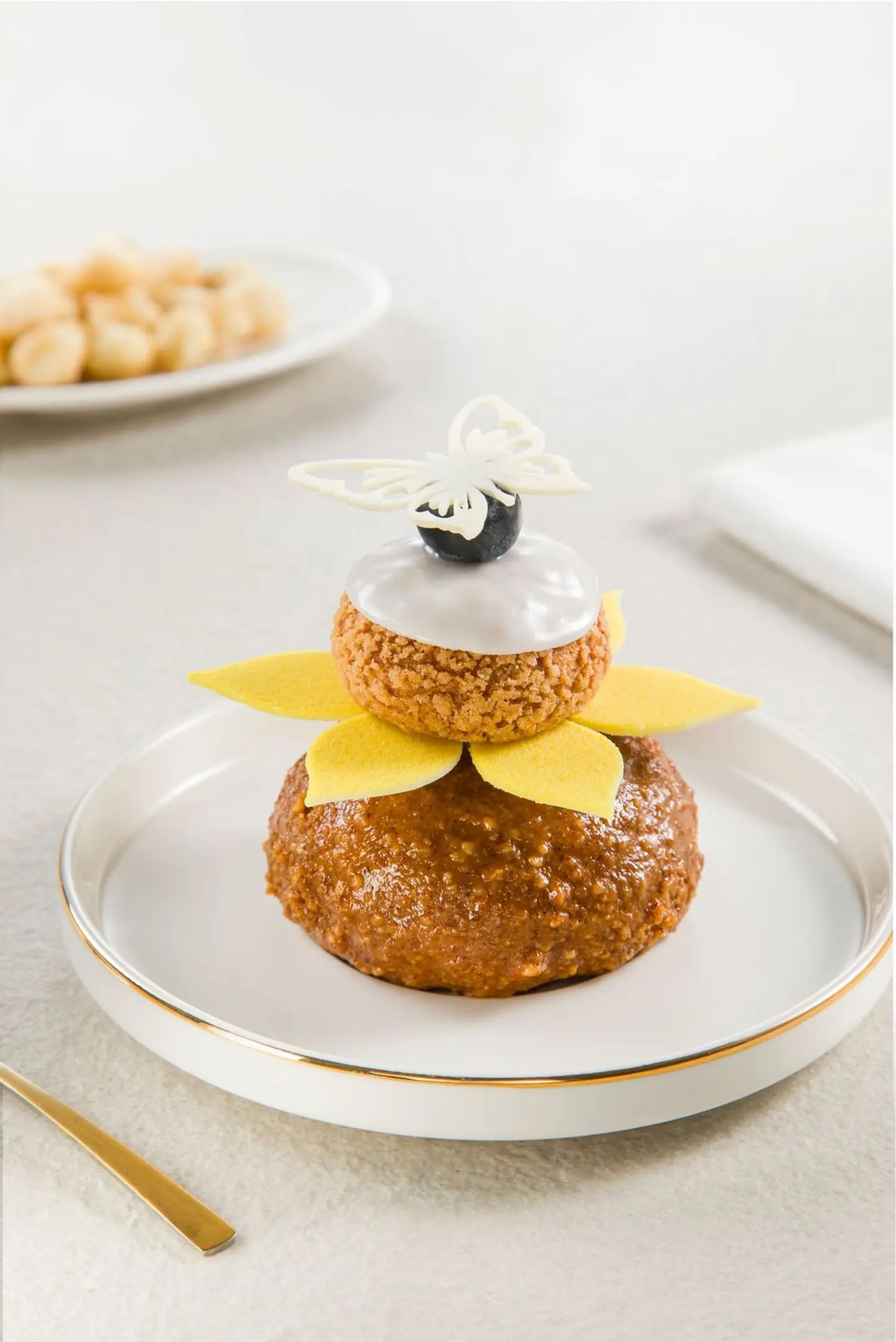 ماكاديميا شو