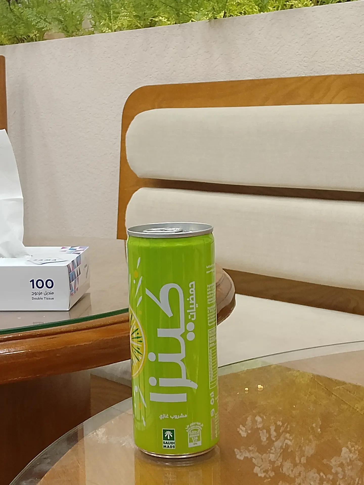 كنزا حمضيات