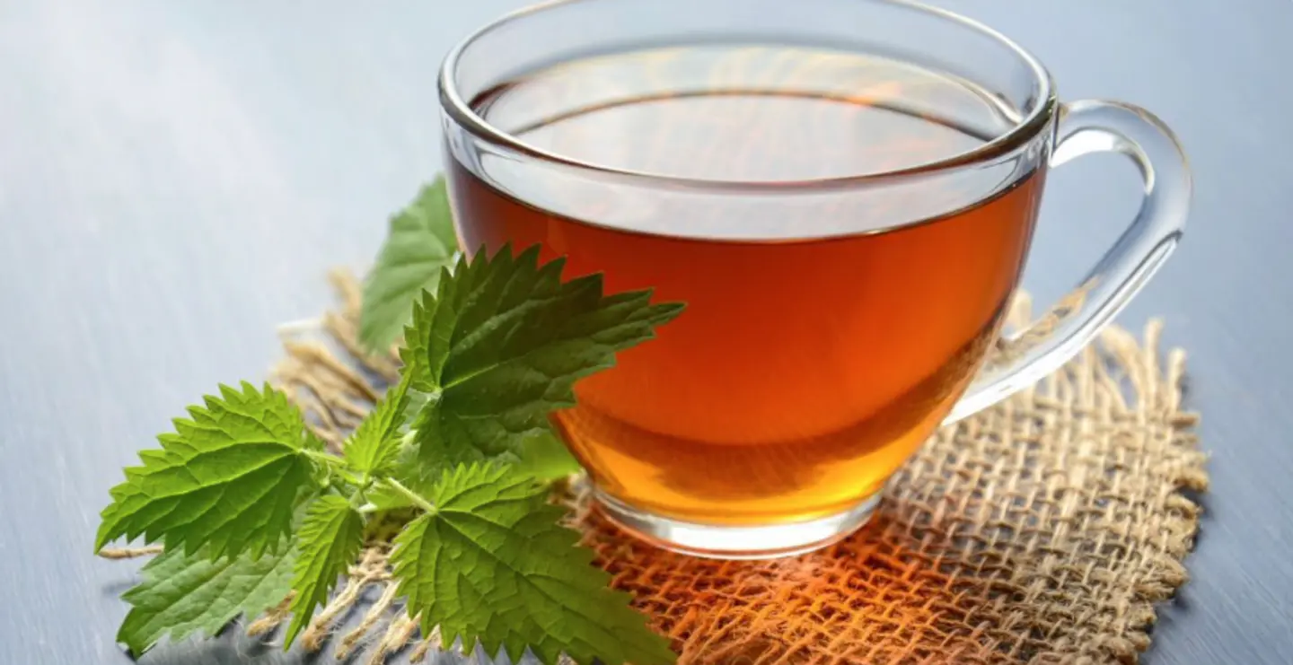 Tea Wıth Mint
