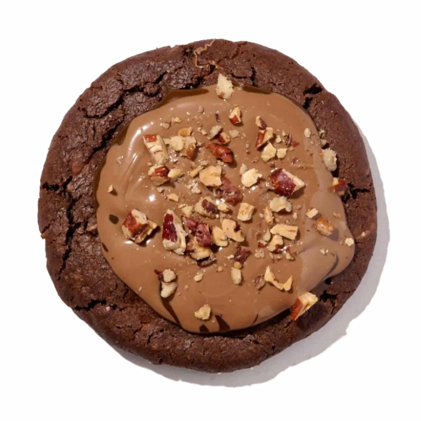 Turtle Cookie