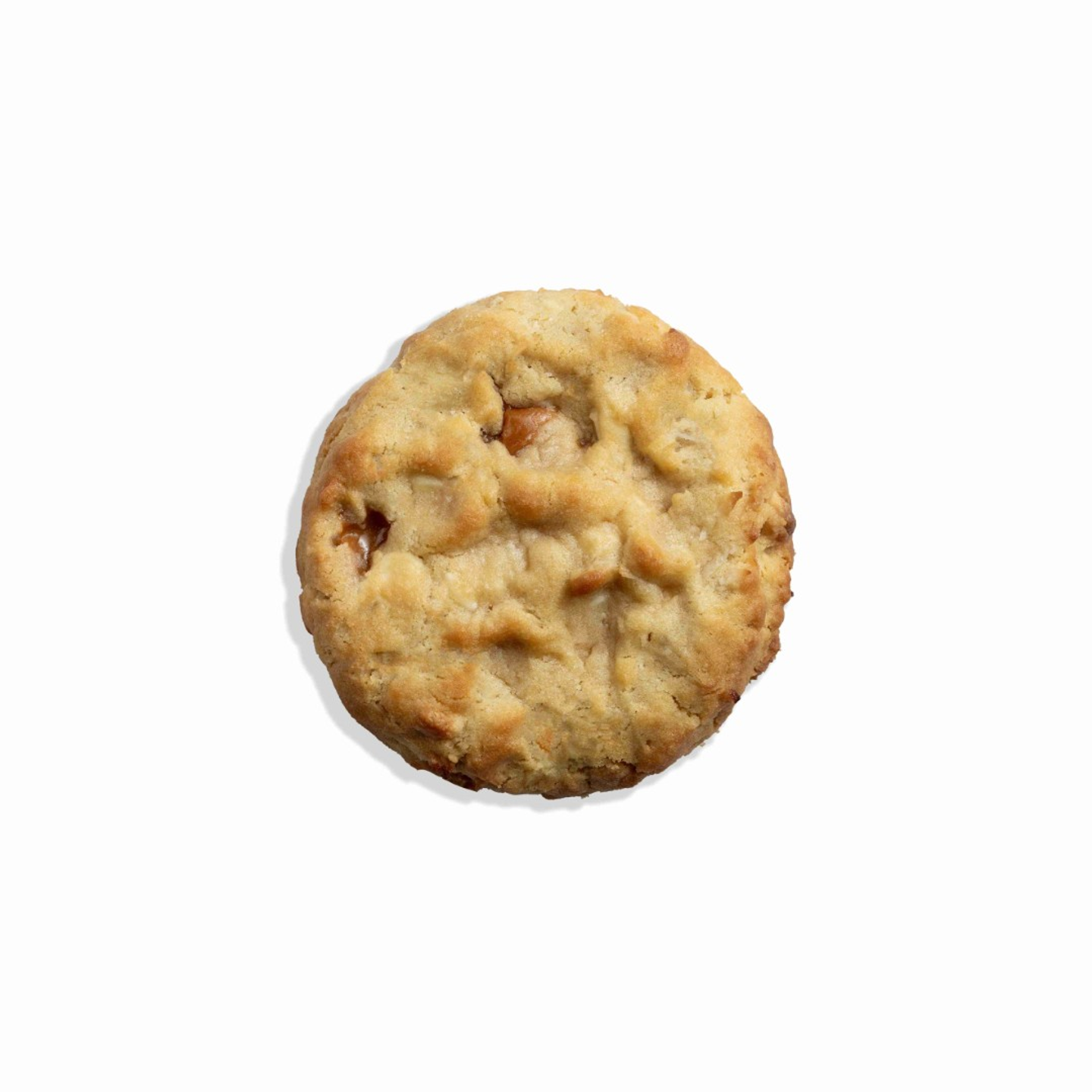 Caramelized Coconut Cookie