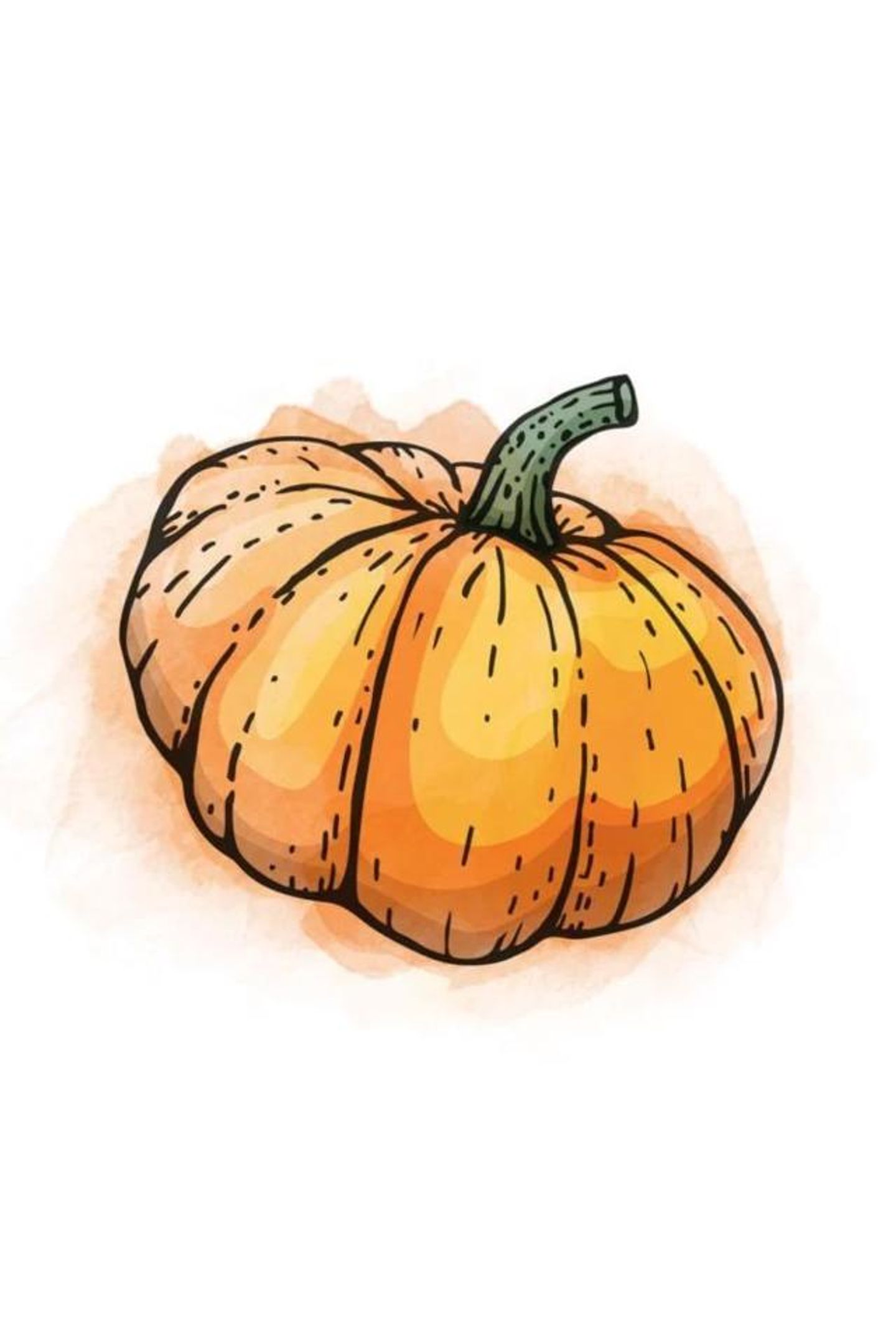 Peru   Pumpkin 250g