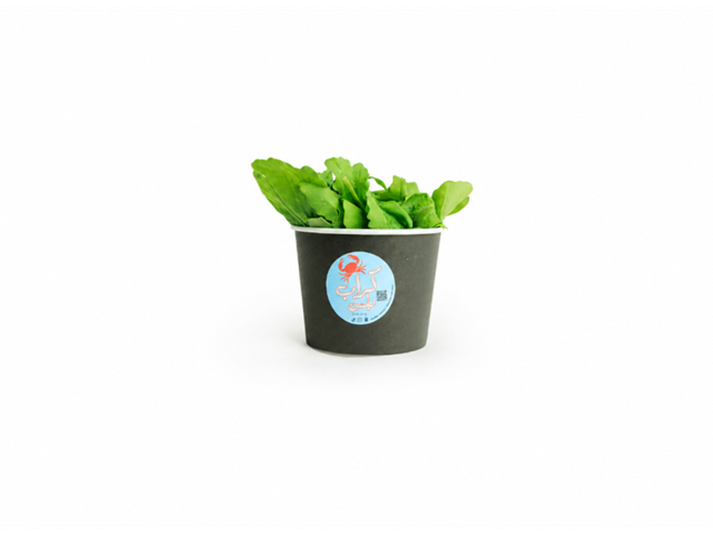 Rocca Salad