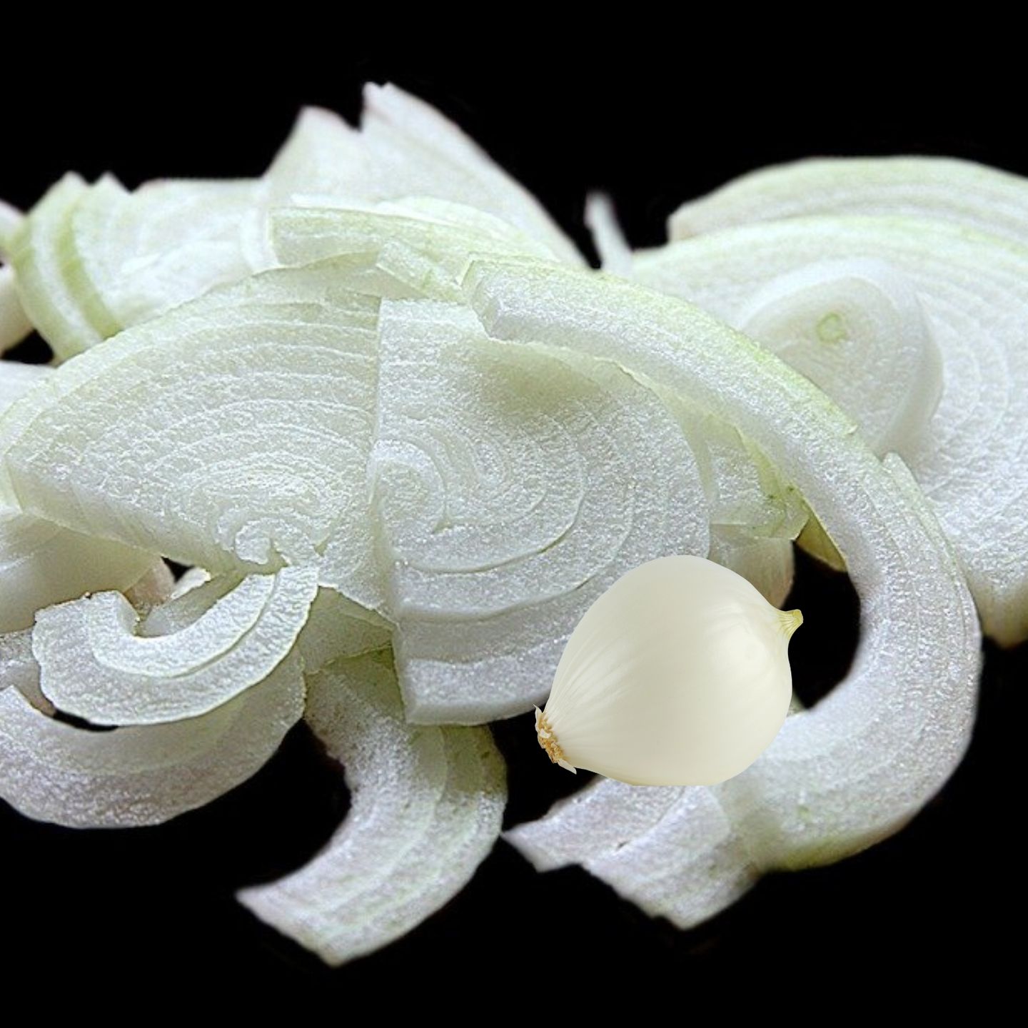 Onion