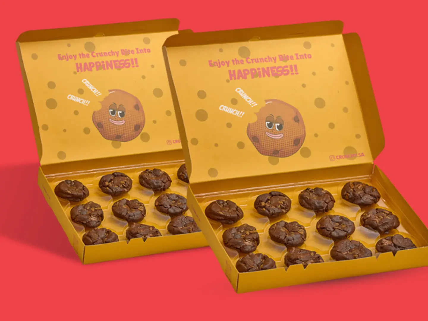 24pcs Double Chocolate Chip Cookies Box