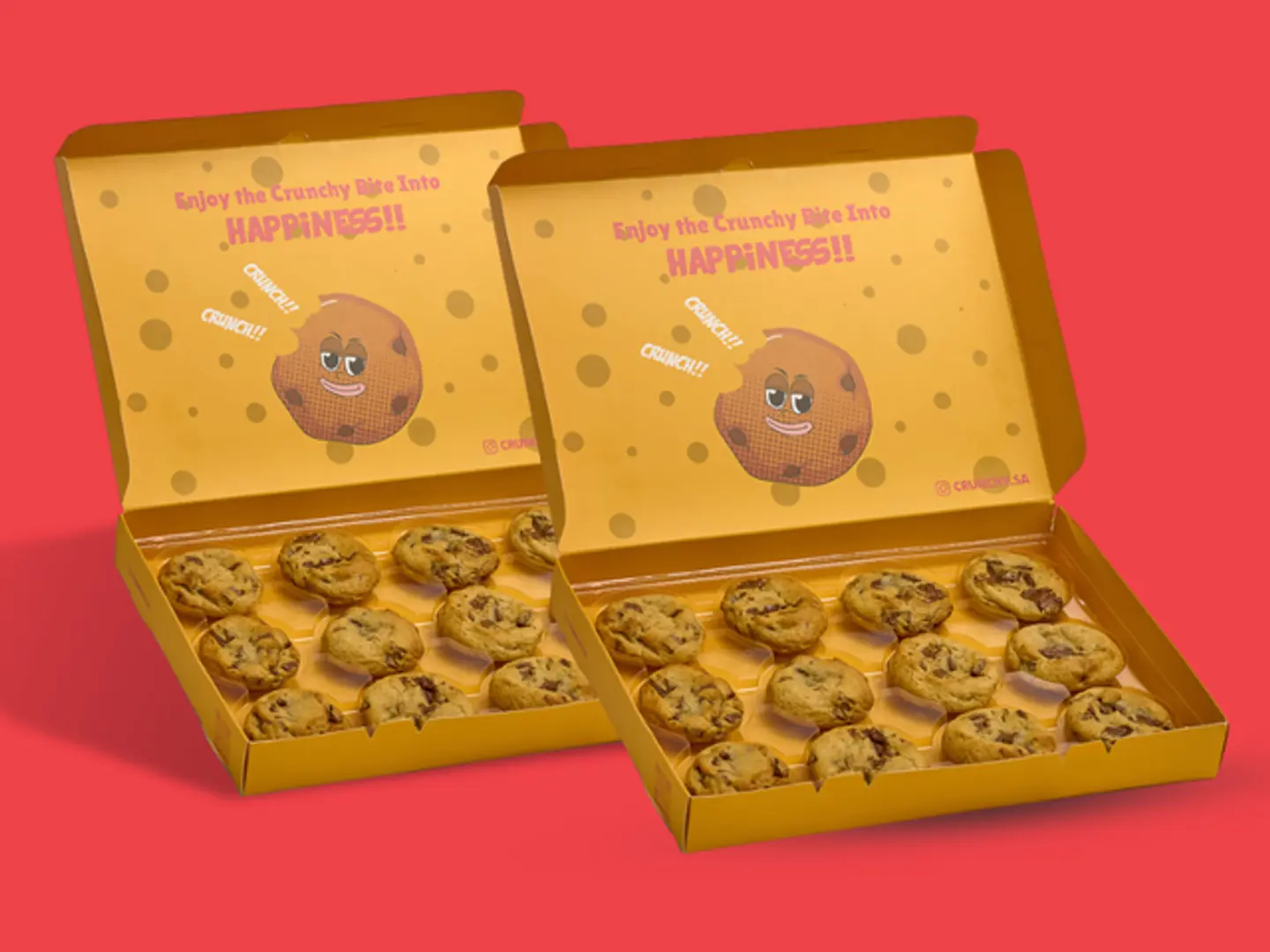 24 Chocolate Chip Cookies Box